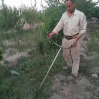 یونجه وعلف هرز
