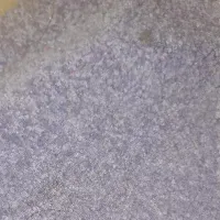 موکت پرز بلند پالاز|موکت|کرج, منظریه|دیوار