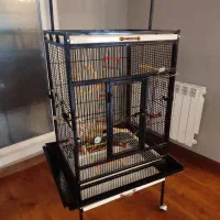 دو عدد قفس+وسایل بازی پرنده+کیف حمل پرنده|لوازم جانبی حیوانات|نوشهر, |دیوار