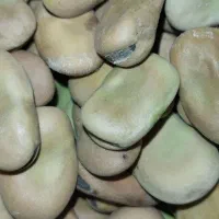 باقلا|خوردنی و آشامیدنی|سرپل ذهاب, |دیوار