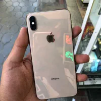 Xs Max 256