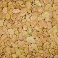 باقله پزا عمده و خورده