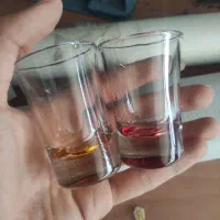 اس رنگی|ظروف سرو و پذیرایی|شیراز, دشت چنار|دیوار