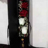جعبه گل مصنوعی زیبا و شیک|گل مصنوعی|اصفهان, ارزنان|دیوار