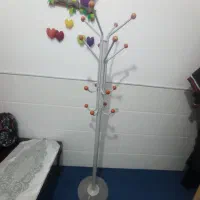 چوب رخت سالم