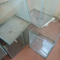 آکواریوم جفت و تکثیر