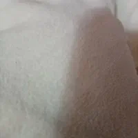 کاپشن بچگونه|کفش و لباس بچه|ساری, |دیوار