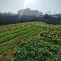 فروش زمین ۳۰۰متری سند دار دور دیوار در رشت آتشگاه|فروش زمین و ملک کلنگی|رشت, آتشگاه|دیوار