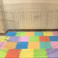 پارک استیل سگ و گربه ۸ ضلعی ارتفاع ۹۰
