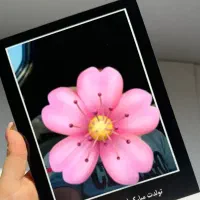 تابلو موزیکال فقط 99تومن