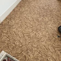 موکت فروش فوری|موکت|آق قلا, |دیوار