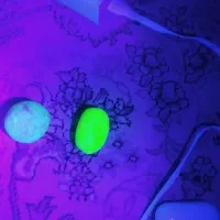 گوهر شب چراغ