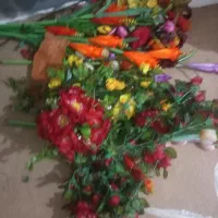 سلام گل مصنوعی سالم|گل مصنوعی|خرمشهر, |دیوار