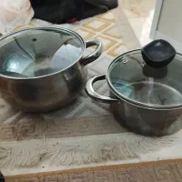 تنگ و ظرف ماهی