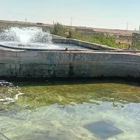 پرورش-ماهی