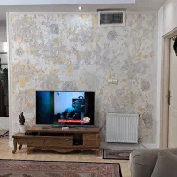 اجرای میکروسمنت و پتینه ساختمانی|خدمات پیشه و مهارت|قدس, شهرک دانش|دیوار