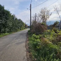 فروش زمین ۲۷۸ متر کاربری مسکونی بر جاده|فروش زمین و ملک کلنگی|چابکسر, |دیوار