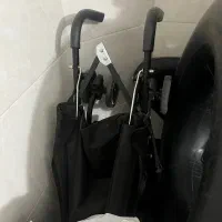 کالکسکه عصایی