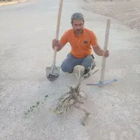 کارگر ساختمانی