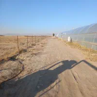 ملک ویلایی|فروش دفتر صنعتی، کشاورزی، تجاری|نیشابور, دارایی|دیوار