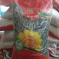تخمه پخته و خام