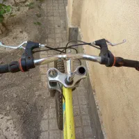 دوچرخه 24