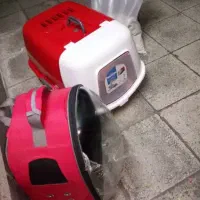 واگذاری بچه گربه سه ماهه اسکاتیش چشم آبی|گربه|تهران, جیحون|دیوار