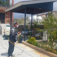 سمپاشی و باغبانی|خدمات باغبانی و درختکاری|بومهن, |دیوار