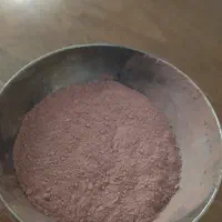 پودر پلاتین و پالادیوم