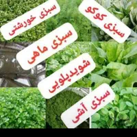 سبزی آماده کدبانو۱۰۰٪تضمینی|خوردنی و آشامیدنی|دهگلان, |دیوار