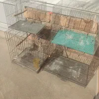 ۴عدد قفس پرنده