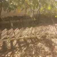 پله آهنی همراه حفاظ|مصالح و تجهیزات ساختمان|آبعلی, |دیوار