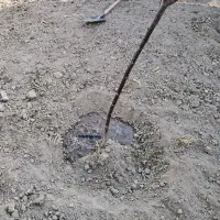 لوله کشی آب فاظلاب سرد گرم نصب پمپ تانکر|خدمات پیشه و مهارت|هشتگرد, فاز ۷ مهستان|دیوار