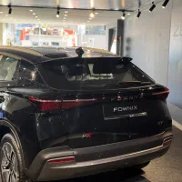 فونیکس fx ev|خودرو سواری و وانت|کرج, جهانشهر|دیوار