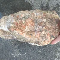 سنگ عقیق شجردریایی