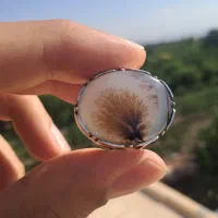 بورس انگشترهای کلیکسیونی و خاص|جواهرات|ارومیه, |دیوار