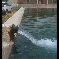 باغ ویلا ۵۰۰۰ متر نزدیک ویلاهای پزشکان در کلاکوب