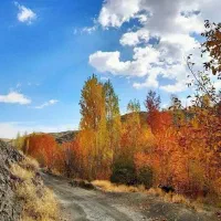 زمین حاشیه جاده گلمکان