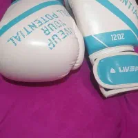 دستکش بوکس livepro نو|تجهیزات ورزشی|رامهرمز, |دیوار