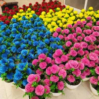 گل مصنوعی روز مادر