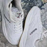 کتونی سفید کفش|کیف، کفش، کمربند|بند زرک, |دیوار