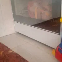 گاز