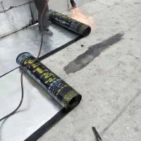 نصب و اجرای قیرگونی ایزوگام/درکل تهران/درهر متراژ|خدمات پیشه و مهارت|تهران, دکتر هوشیار|دیوار