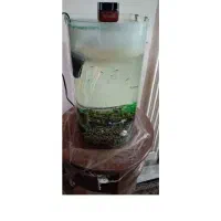 لوازم خانه|فرش|تهران, بهار|دیوار