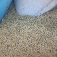 فروش‌جو‌وکوداوره