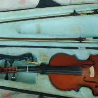 ویالون رناتو 4/4