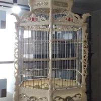 انواع قفس در حد صفر