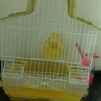 قفس.پرنده بزرگ