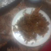 کشمش بی دانه اصل|عمدهفروشی|مشکان, |دیوار