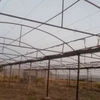 500 متر گلخانه